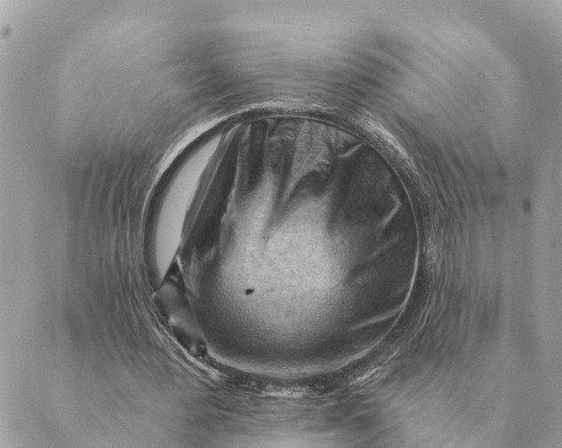 X0000088830484200706281800