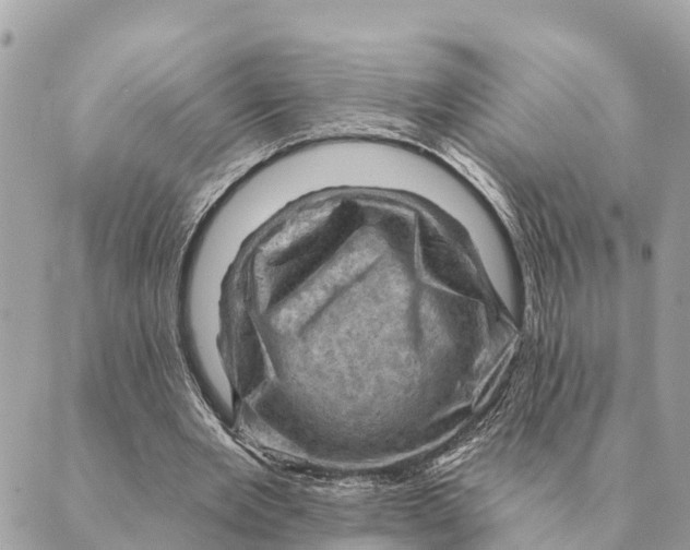 X0000088830485200706281800