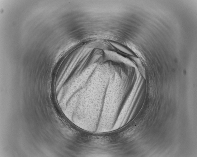 X0000088830486200706281800