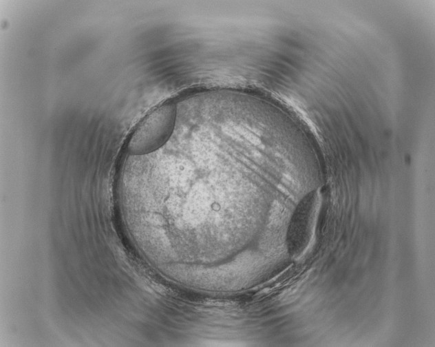 X0000088830487200706281759