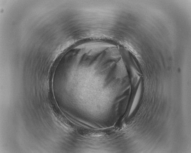 X0000088830488200706281759