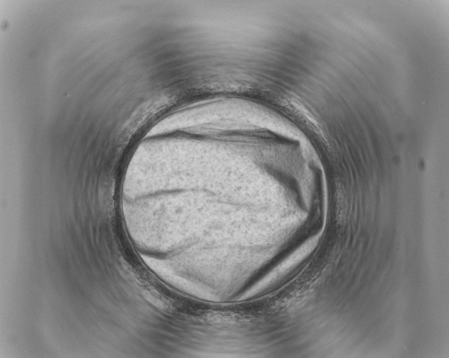 X0000088830490200706281759