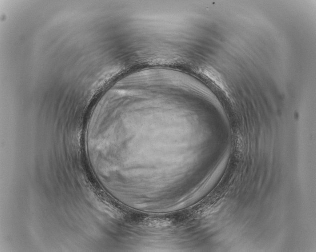 X0000088830491200706281759