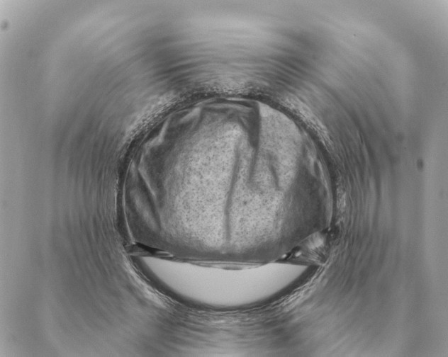 X0000088830493200706281759