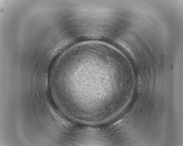 X0000088830494200706281759