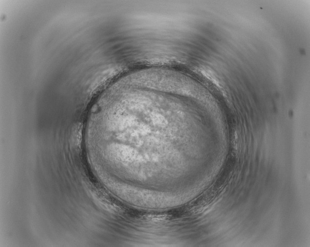 X0000088830495200706281759