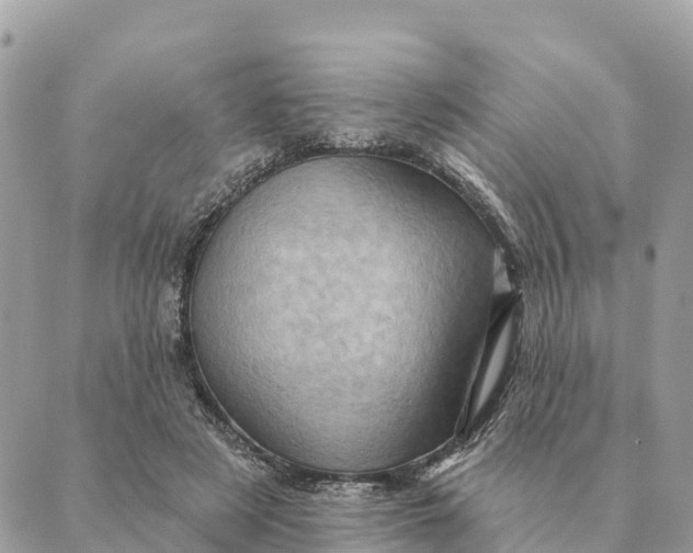 X0000088830497200706281759