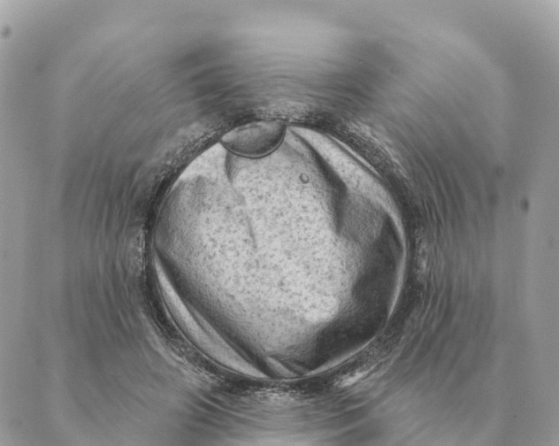 X0000088830498200706281759