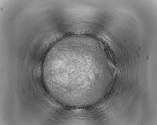 X0000088830499200706281759