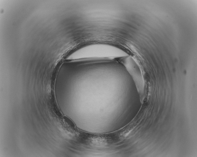 X0000088830500200706281759