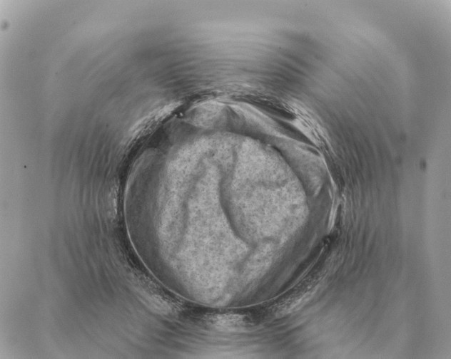 X0000088830501200706281759