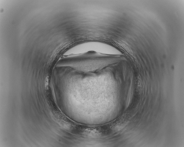 X0000088830502200706281759