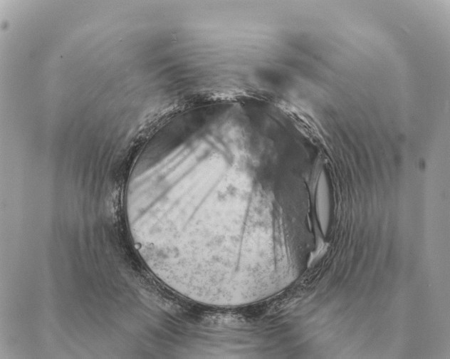 X0000088830503200706281759