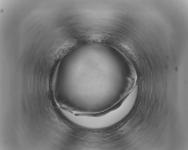 X0000088830504200706281759