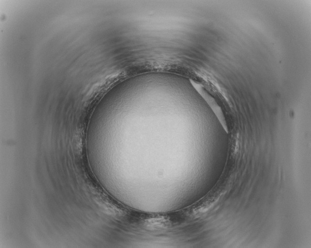 X0000088830505200706281759