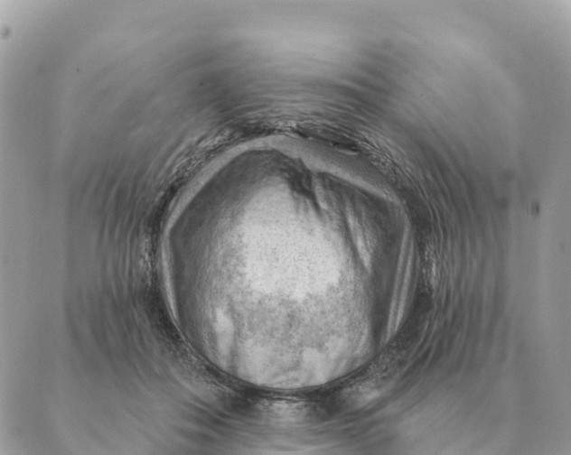 X0000088830506200706281759