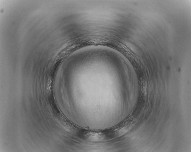 X0000088830507200706281759