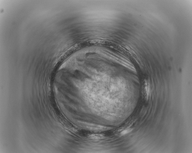 X0000088830508200706281759