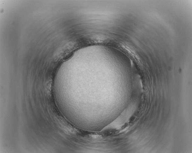 X0000088830509200706281759