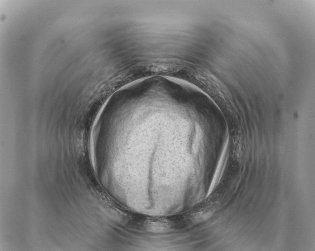 X0000088830510200706281759