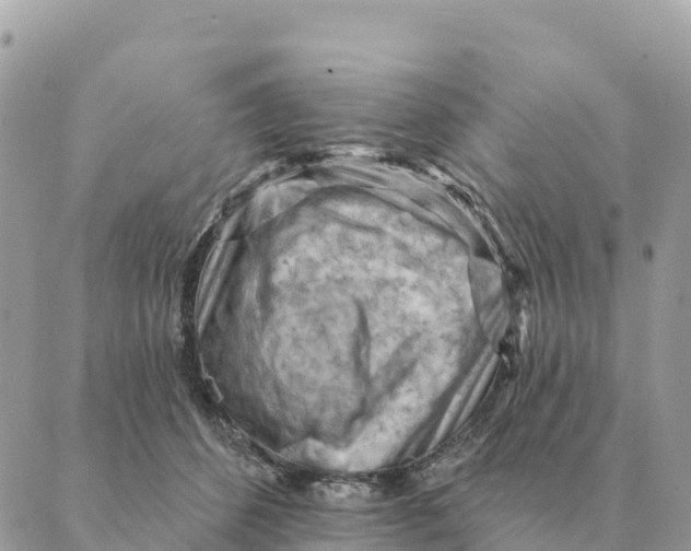 X0000088830512200706281759