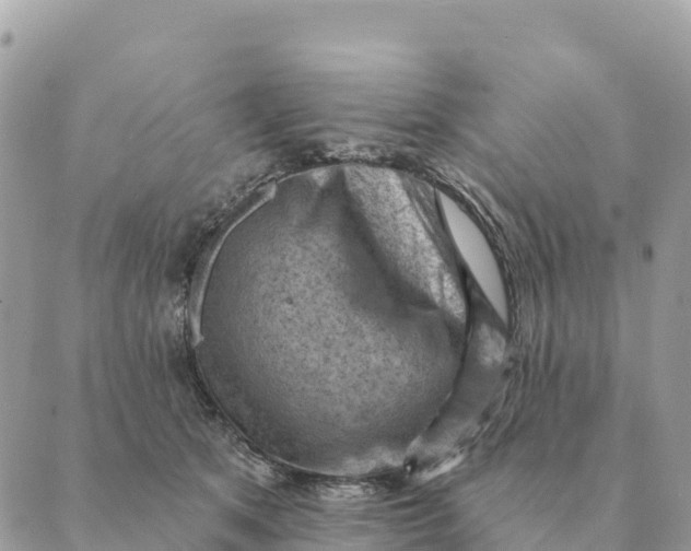 X0000088830513200706281759