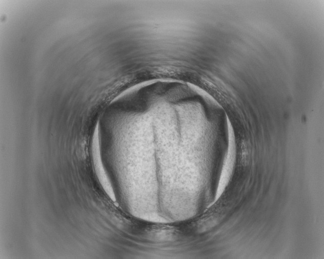 X0000088830514200706281759