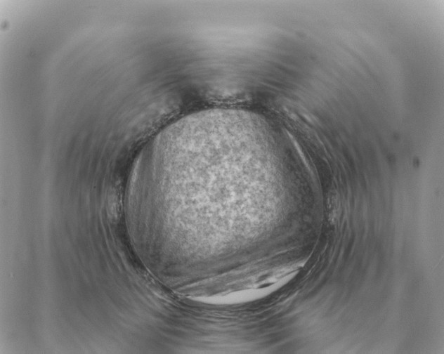 X0000088830515200706281759