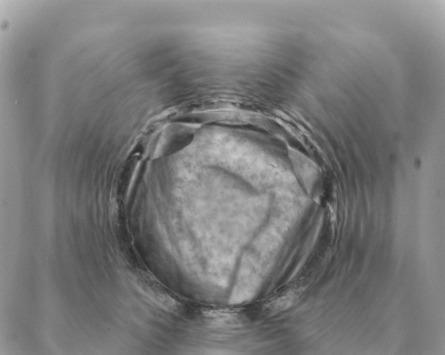 X0000088830516200706281759