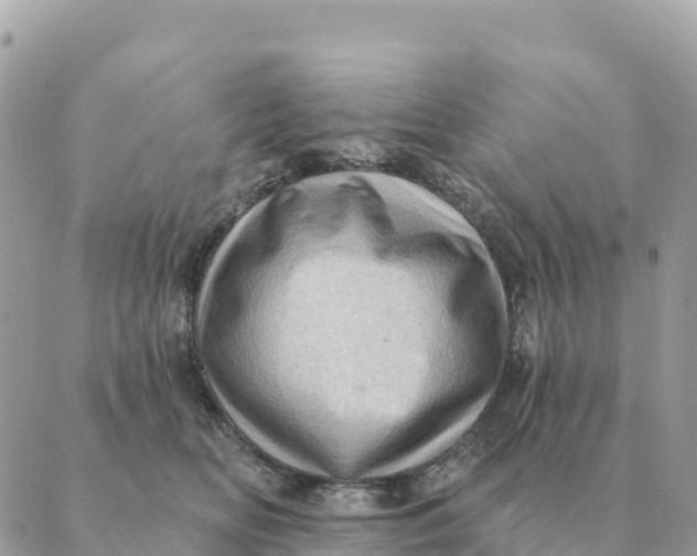 X0000088830518200706281759