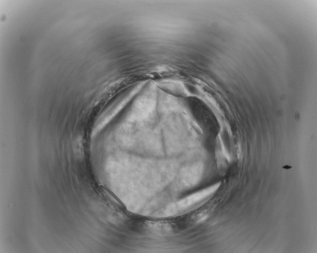 X0000088830520200706281759