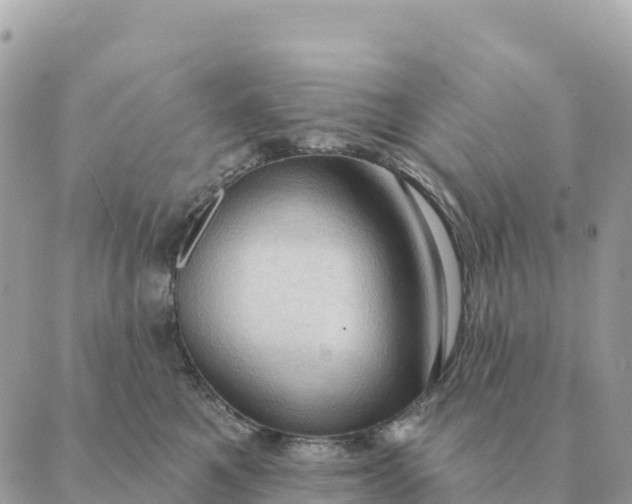 X0000088830521200706281759