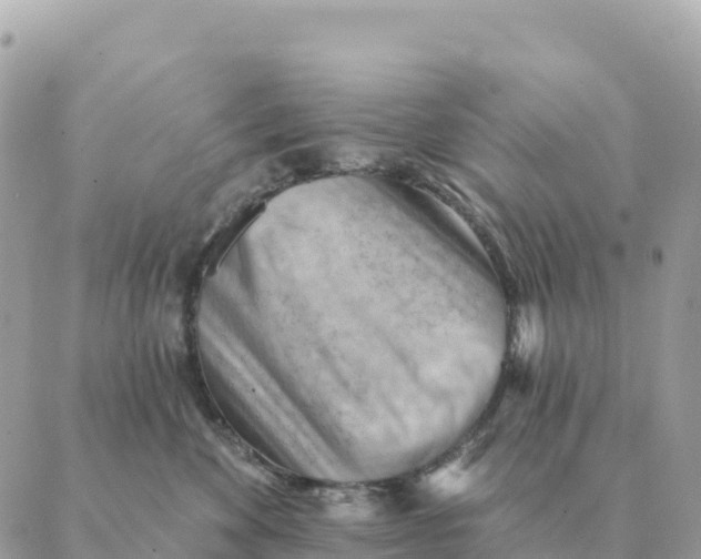 X0000088830524200706281759