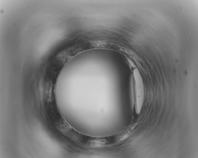 X0000088830525200706281759