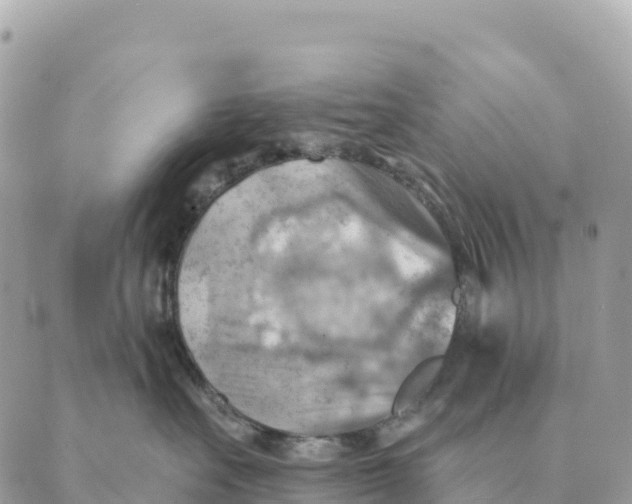 X0000088830527200706281759