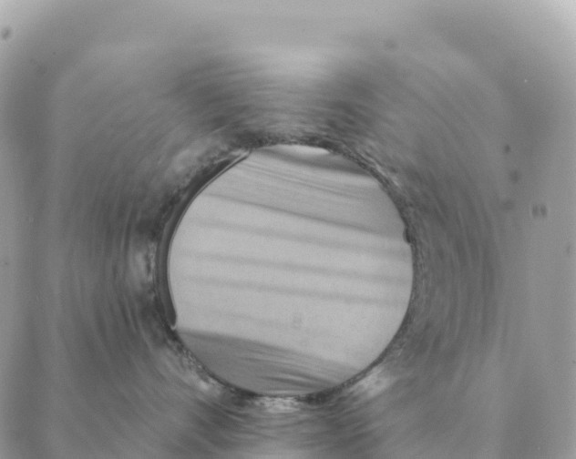 X0000088830528200706281759