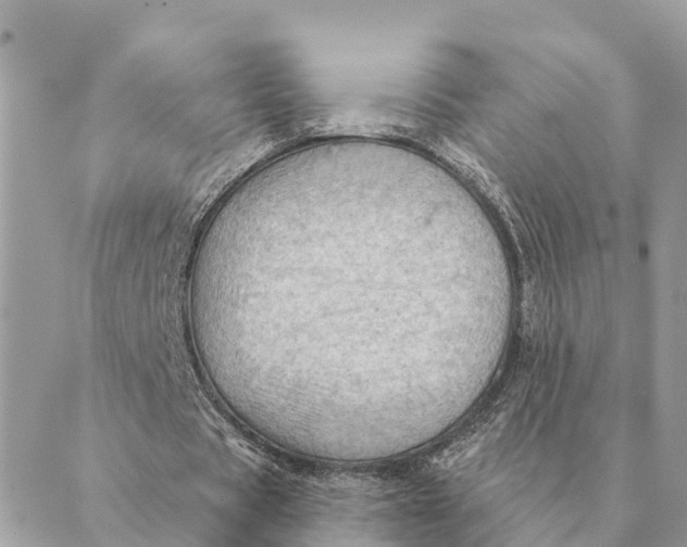 X0000088830529200706281758