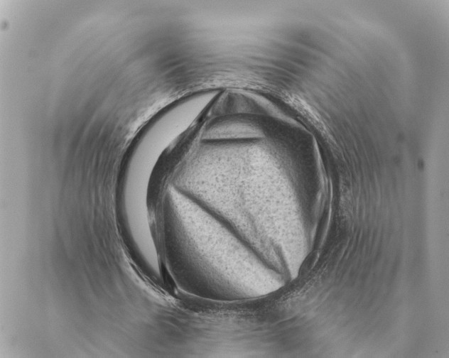 X0000088830530200706281758