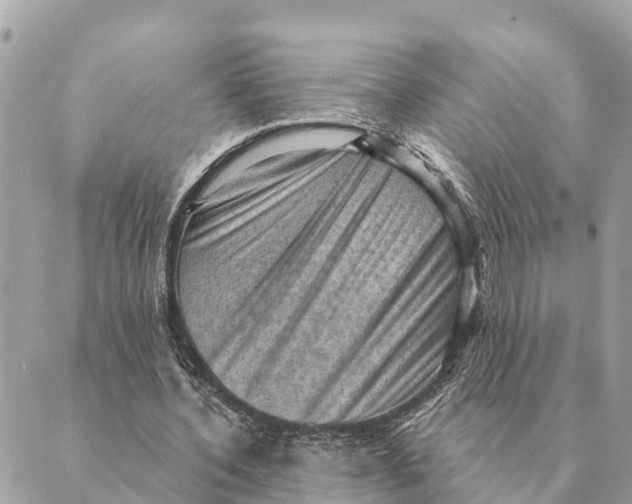 X0000088830532200706281758