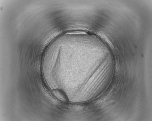 X0000088830533200706281758