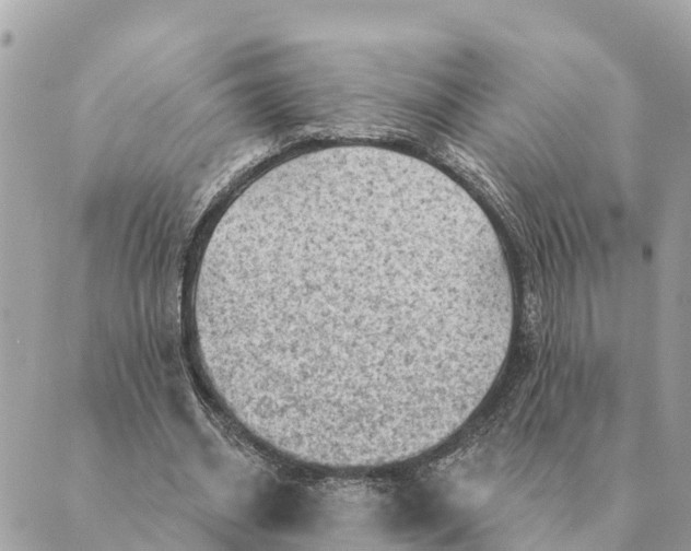 X0000088830534200706281758