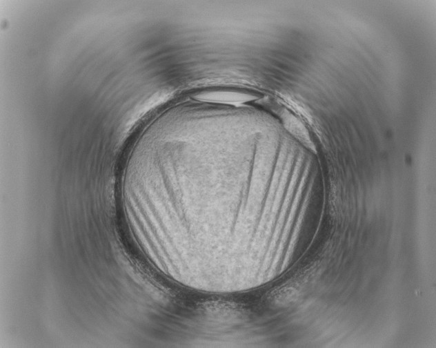 X0000088830535200706281758