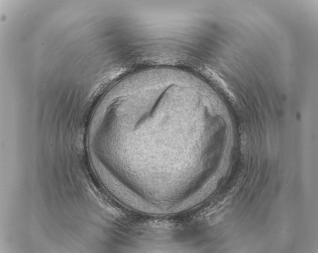 X0000088830537200706281758