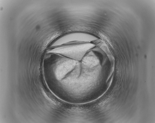 X0000088830538200706281758