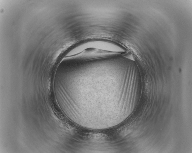 X0000088830539200706281758