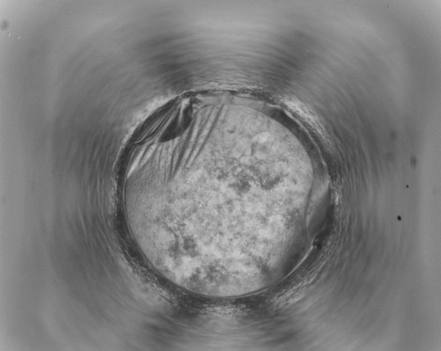 X0000088830540200706281758