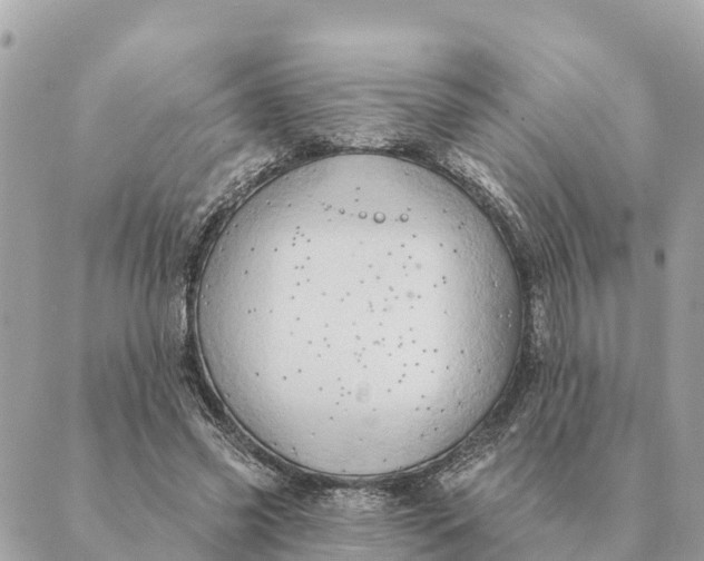 X0000088830541200706281758