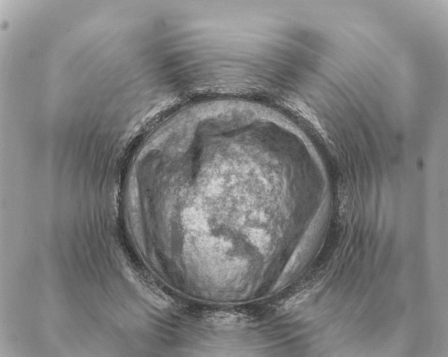 X0000088830542200706281758