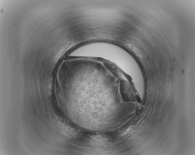 X0000088830544200706281758