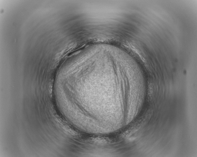 X0000088830545200706281758